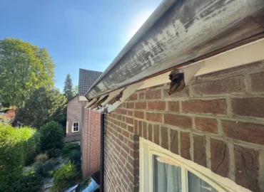 Houtklos reparatie schilder weert