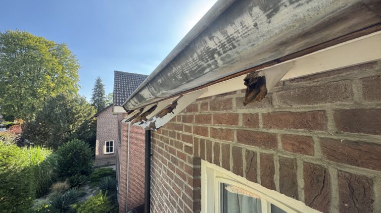 boeidelen schilderen