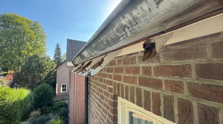 Houtklos reparatie schilder weert