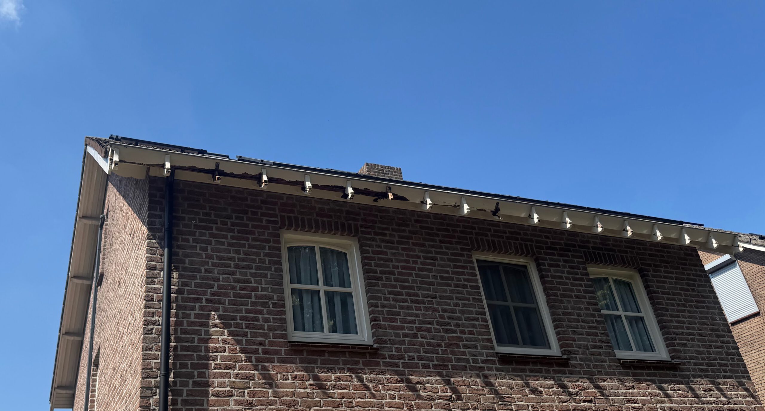 houtrot aan boei